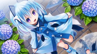 漫游IPV6统计